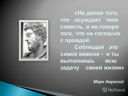 Отзывы не делающие чести