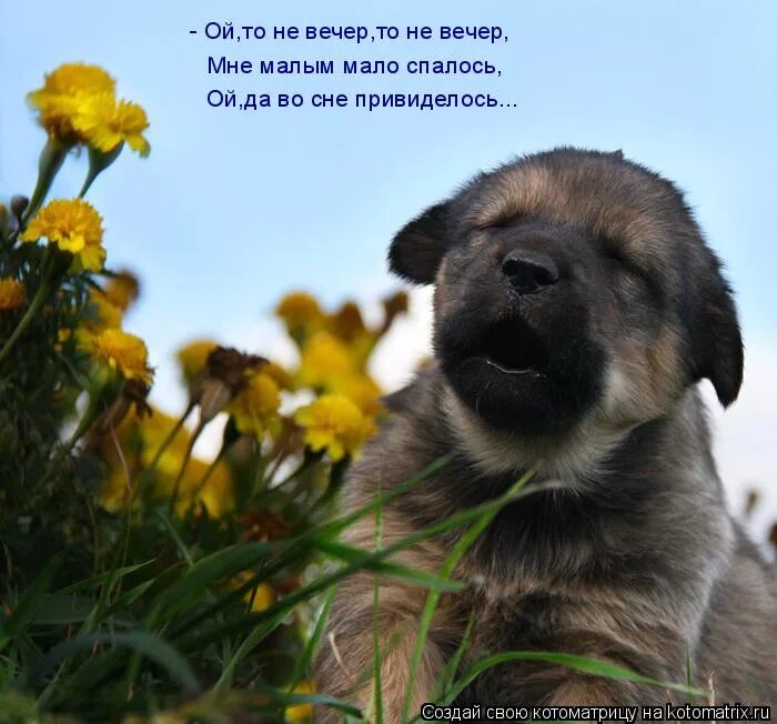 мне малым мало спалось песня. мне малым-мало спалось текст. мне малым мало спалось песня. ой то не вечер текст песни. ой малым-мало спалось слова.