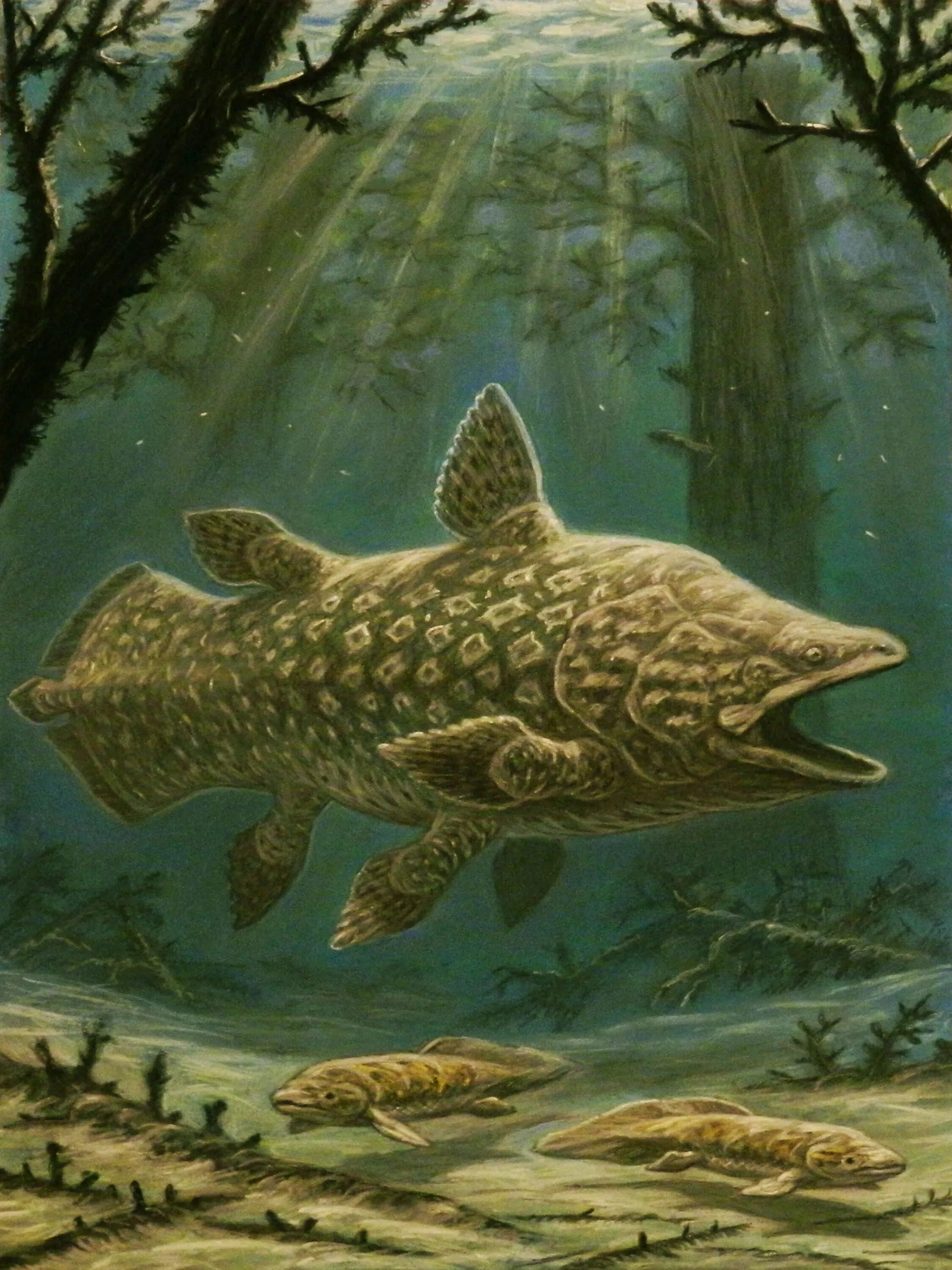 Первобытные рыбы. Рыба-динозавр Латимерия. Доисторическая рыба Латимерия. Латимерия меловой период. Атучин ДУНКЛЕОСТЕЙ.