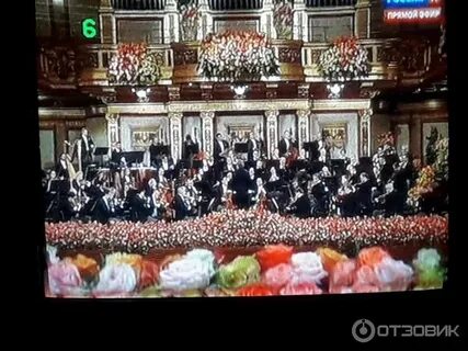 Новогодний концерт 2024 венского филармонического