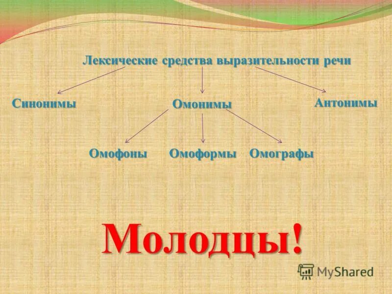 Синонимы к слову родина в словаре. Омонимы. Синонимы антонимы омонимы. Антонимы омонимы. Анонимы синонимы антонимы.