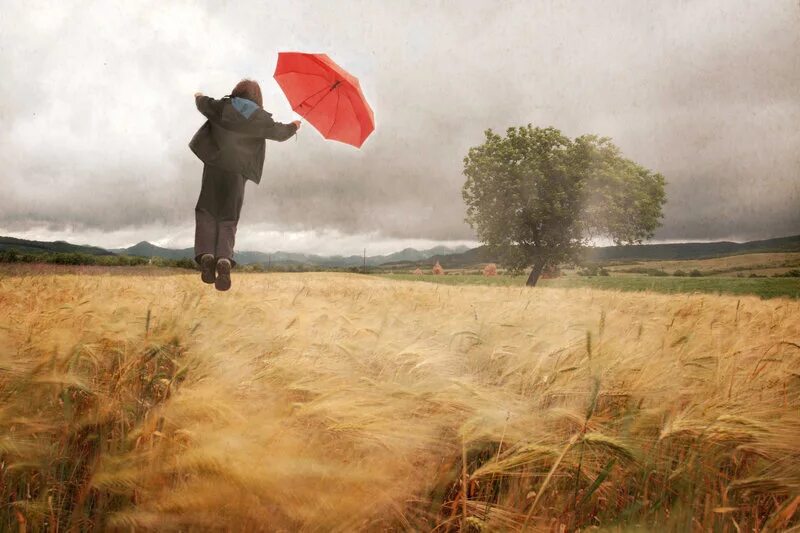 Зонт на природе. Флориана Барбу фотограф. Поляна с цветами на зонте. Мужчина с зонтом арт.