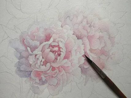 Рисуем пионы поэтапно для начинающих