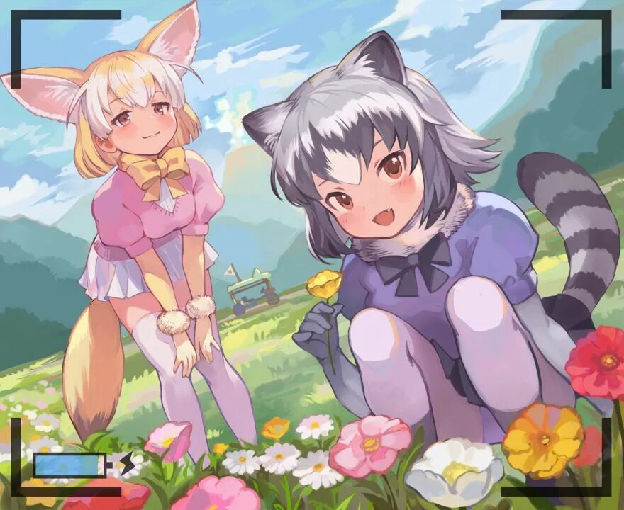 Kemono не обновляется. Kemono friends ракун. common raccoon kemono friends. мирай kemono friends.