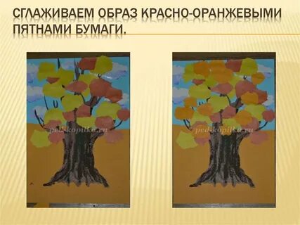 Дуб 6 класс
