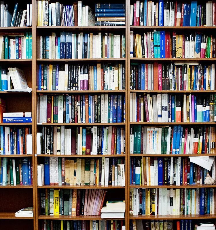Скачай читай библиотеки. Книга библиотека. книжная библиотека. книжный фонд библиотеки. школьная библиотека.
