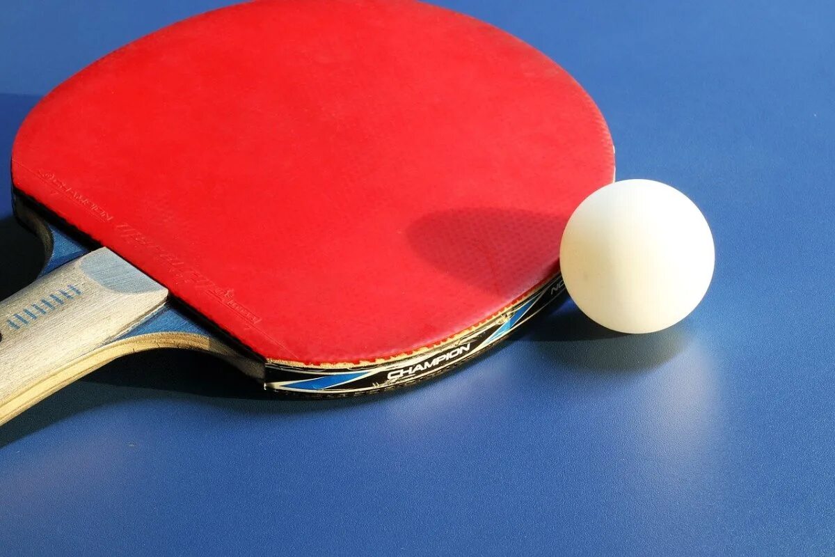 Пинпонг и настольный теннис. Пинг понг 2006. Теннис пинг понг. Ping Pong Table Tennis. Особенности настольного тенниса
