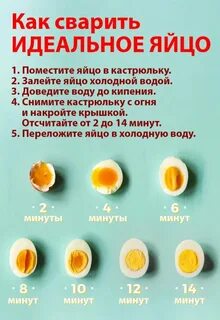 Яйцо варить 4 минуты