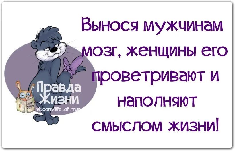 Анекдот про мозги. Смешные цитаты с картинками правда жизни. Выносить мозг. Открытка мозг выносить с юмором. Правда жизни о мужчинах.