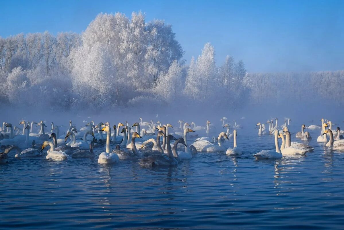 Какая красивая страна. Самая красивая Страна фотоконкурс. Красивая природа победители конкурса. Многоликая Россия природа. Россия прекрасная Страна фотоконкурс.