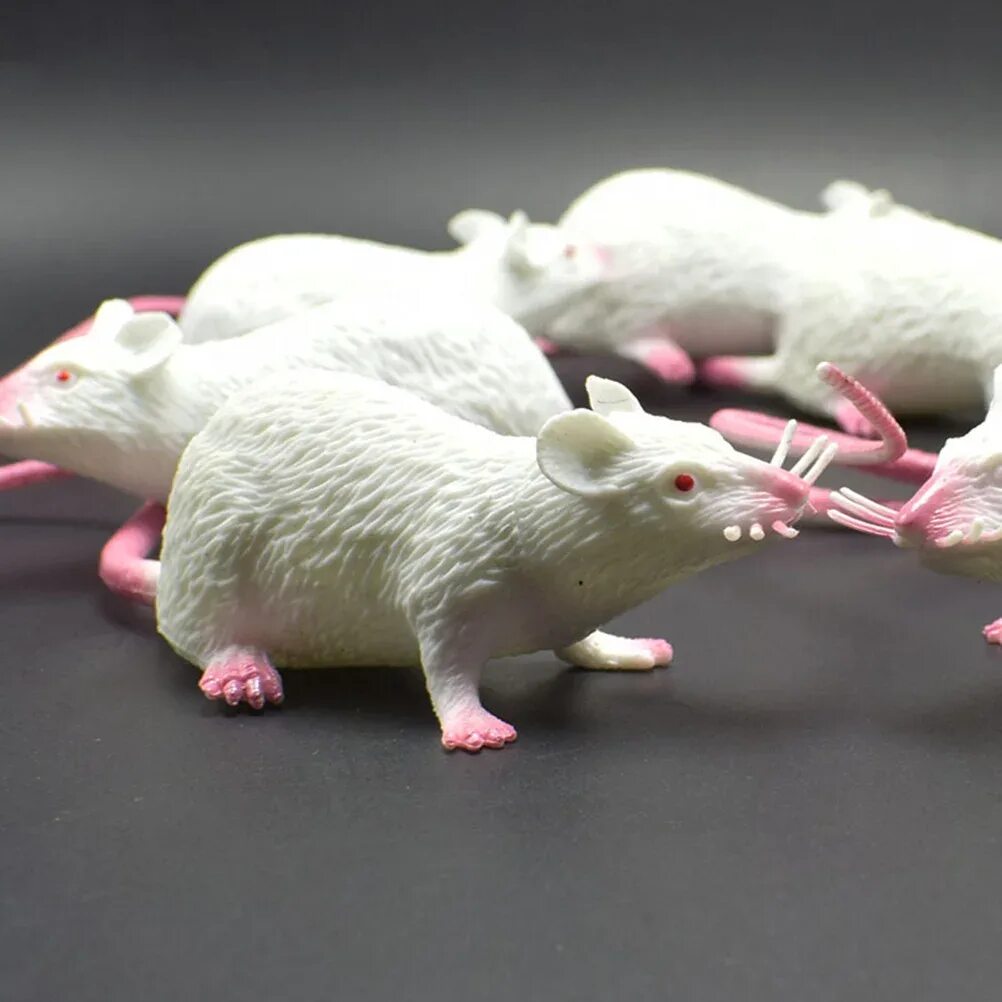 Модели мышей. Игрушки мыши пластиковые. Мышь игрушка реалистичная. Игрушки для крыс. Фигурка мышь реалистичная.