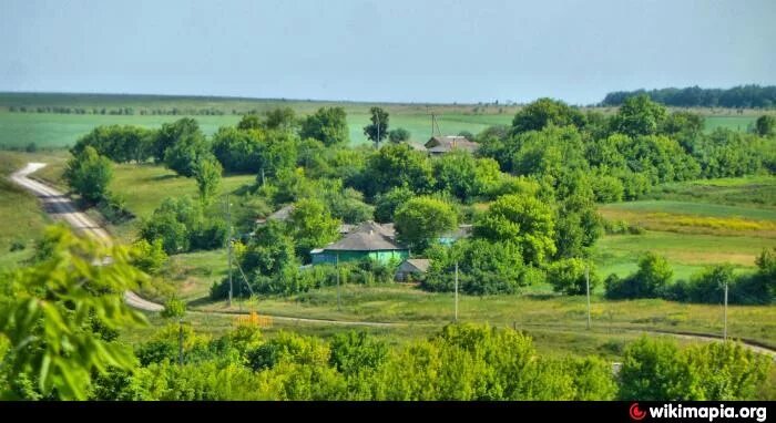Репьевка курская область тимский. Курск курская область тимский. Курск курская область тимский. Погожее курская область. Репьевка курская область тимский.