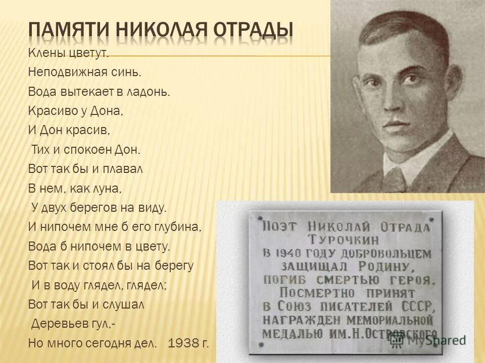 описание отрады