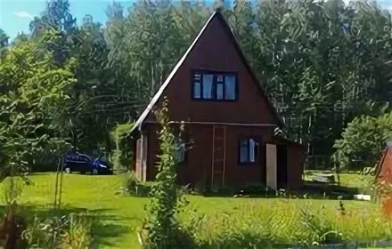 дом в хорошие руки