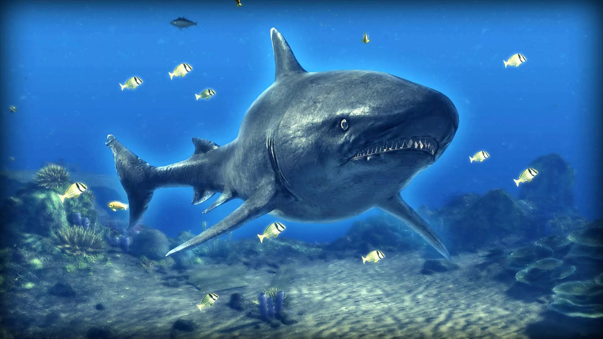 John depth. Акула МЕГАЛОДОН. Depth МЕГАЛОДОН. Красное море акулы МЕГАЛОДОН.