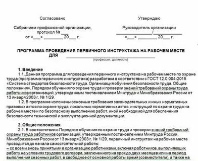 Приказ об утверждении программ первичного инструктажей