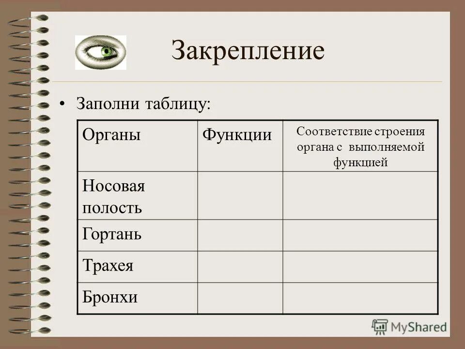 Таблицу дыхательная система человека. Таблица соответствие строения органов дыхания выполняемым функциям. Заполните таблицу органы дыхания. Заполните таблицу строение органов дыхания. Строение и функции органов дыхания таблица.