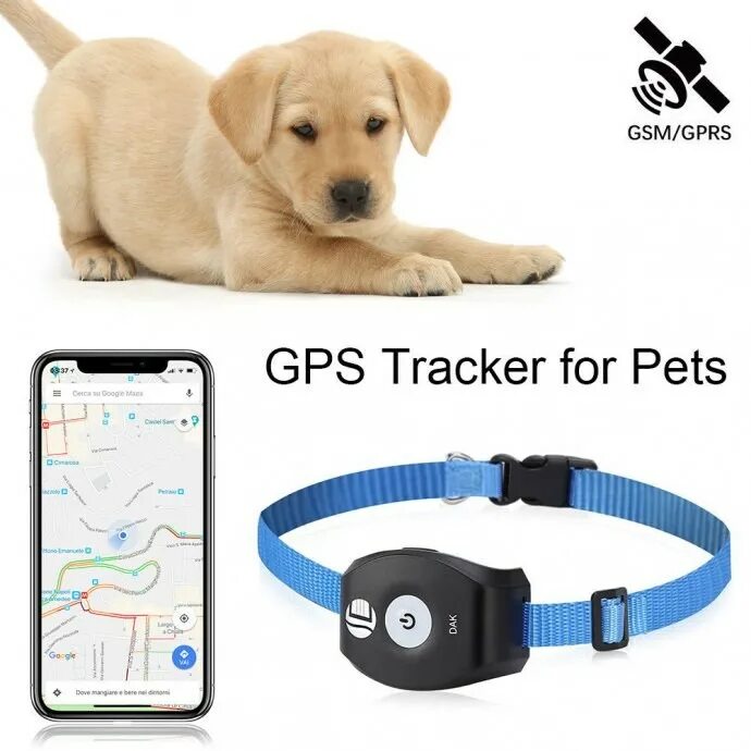 Gps навигатор для собак. Электронный ошейник gps трекер. умный ошейник для кошек gps-трекеры с sim-картой. gps трекер навигатор edge для собак и кошек. трекер pet gps tracker с навигатор edge для собак и кошек.