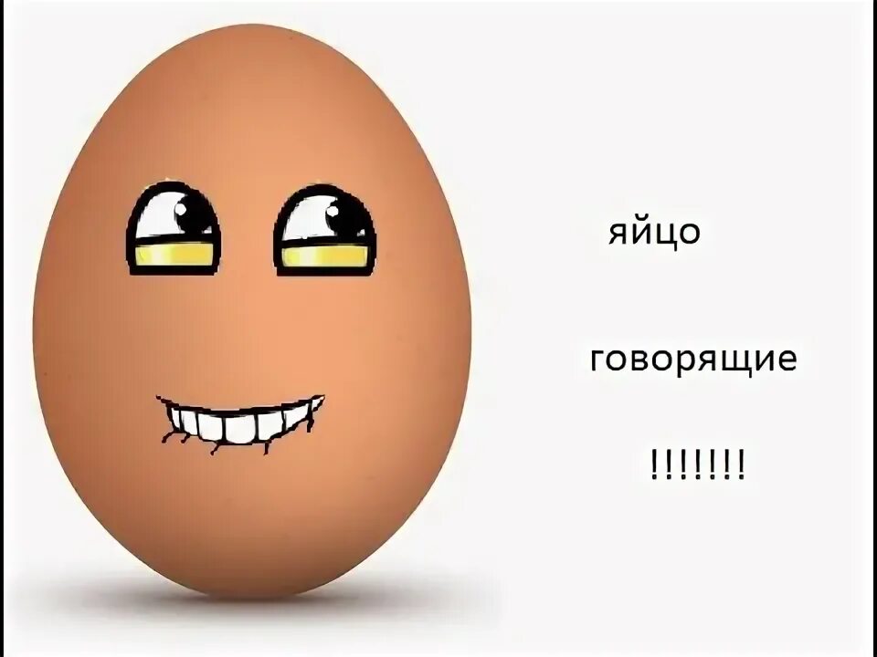 Можно говорить яичко. Говорящие яйца. Говорящее яйцо. Слово яйцо. Говорящий из яйца.