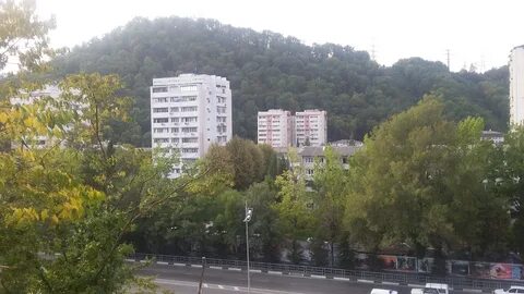 Веб дагомыса