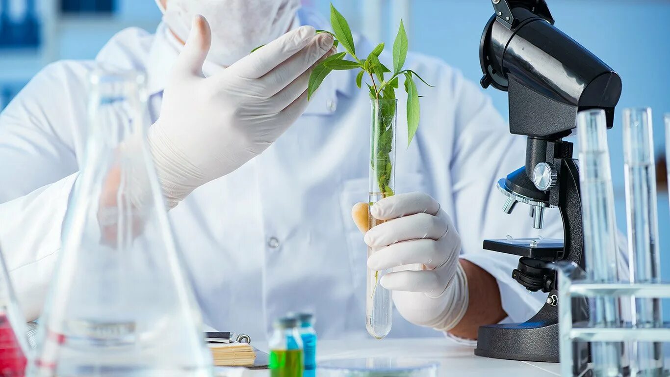 Научные достижения в области пищевых биотехнологий. Промышленная биотехнология. Биотехнологии в промышленности. Нанотехнологии в биотехнологии. Биотехнология в химической промышленности.