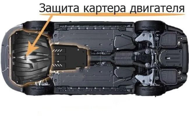 Где находится защита