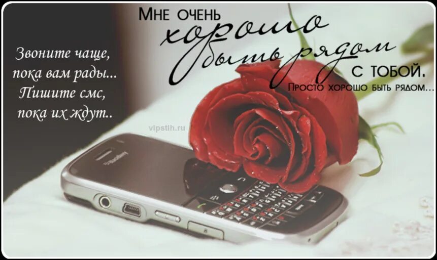 С днем мобильного телефона картинки с надписями. Сотовый телефон и цветы. Цветы и мобильник. Цветы на телефон.
