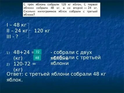 С одной яблони собрали 20 кг яблок