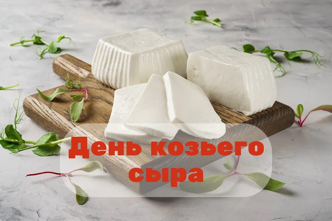 Козий день. Сыр козий сливочный. Коза и сыр. День козы праздник 1 декабря. Открытки с днем белой козы.