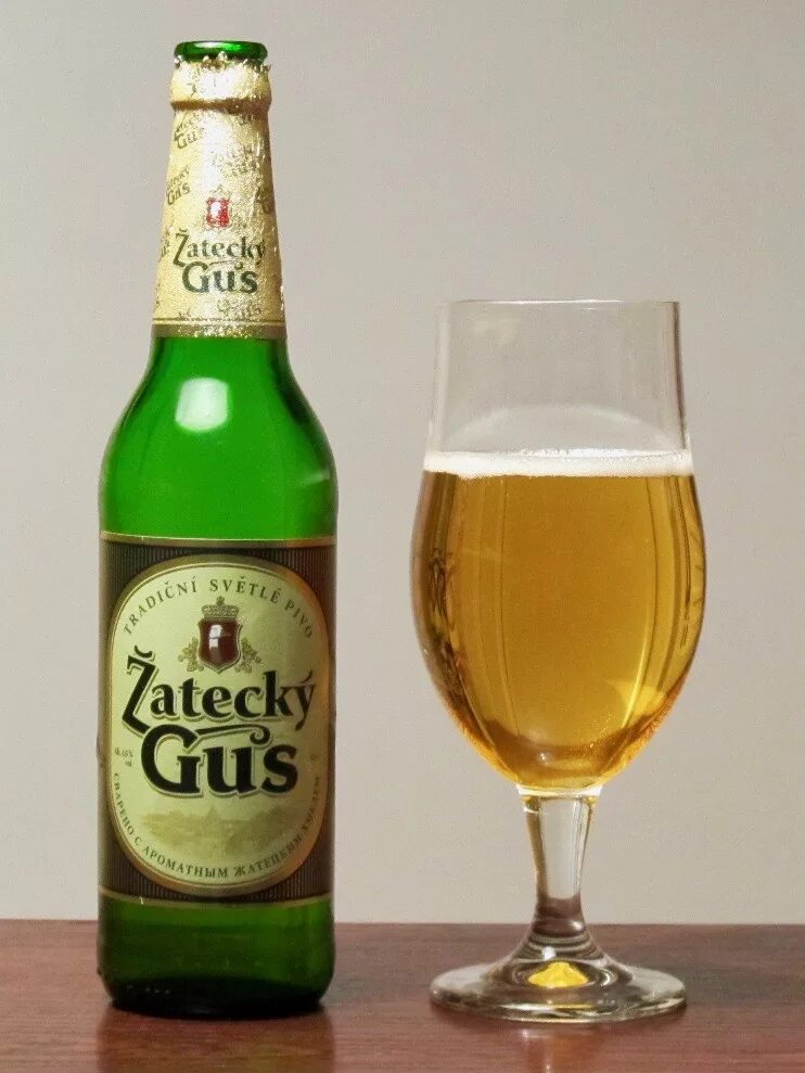 Пиво жатецкий гусь светлое 4. Жатецкий гусь. 5 светлый. Балтика жатецкий гусь. Пиво жатецкий гусь чешский.