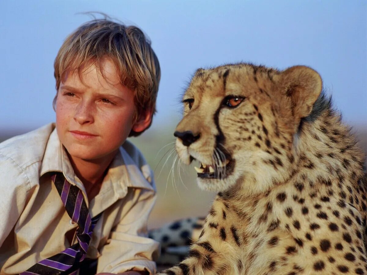 Duma 2005. Мысли о свободе (duma). Дума мысли о свободе фильм. Duma 2005. Мысли о свободе -duma (2005) гепард.