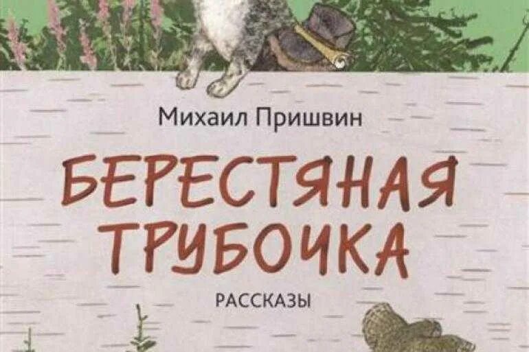 Текст берестяная трубочка. Пришвин берестяная трубочка. Рассказ Пришвина берестяная трубочка. Пришвин берестяная трубочка иллюстрации.