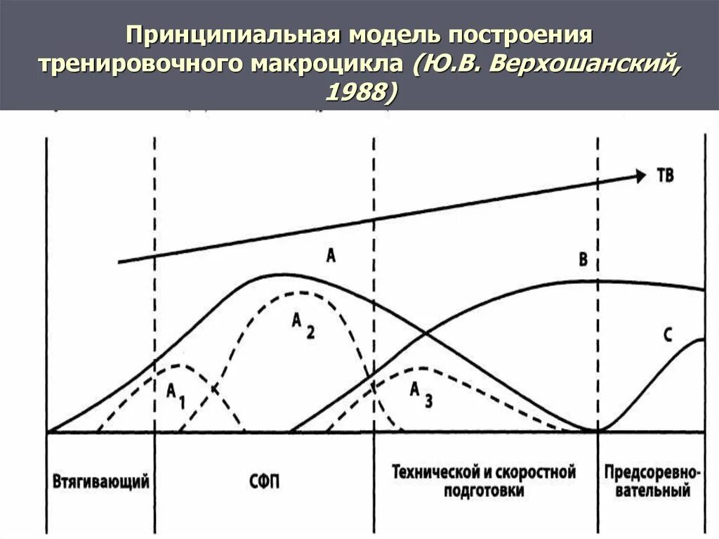 Модели построения тренировочного макроцикла. Структура построения тренировочного процесса. Модели построения тренировочных макроциклов. Построение макроцикла спортивной подготовки. Циклы подготовки спортсменов