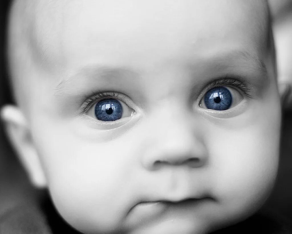Baby eye песня. Детские глаза. Красивый цвет глаз у детей. Детские глаза картинки. Цвет глаз океана дети.