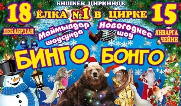 цирк бинго