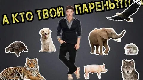 Какое животное со школьных