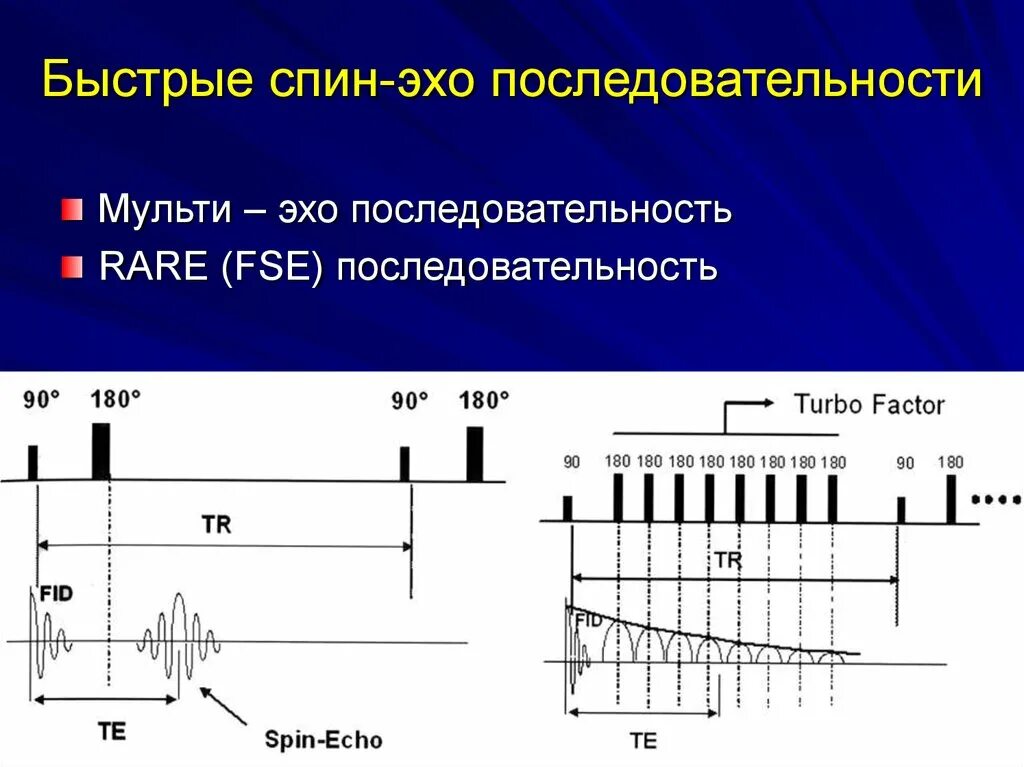 Эхо гостомеля. Спин Эхо последовательность. Последовательность градиентного Эха. Спин Эхо последовательность мрт. Импульсная последовательность.