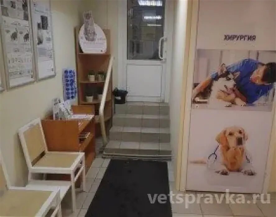Ветклиника новороссийск, улица видова. Ветклиника да винчи. Кот да винчи рисунок. Дорогомиловская 5. Видова 125 новороссийск.