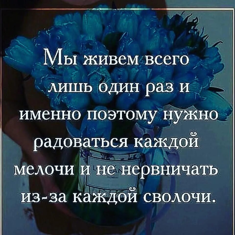 мы живем лишь раз. любовь бывает один раз в жизни цитаты. живем лишь раз. жизнь одна и надо жить. лишь раз.