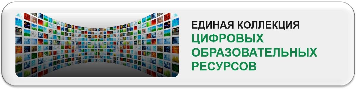 Единые цифровые коллекции