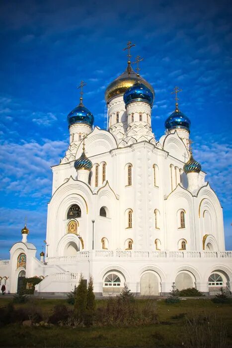 Собор владимирской иконы божией матери кронштадт. Храм в лисках воронежской области. Храм в лисках владимирской иконы божией матери. Владимирский храм лиски. Владимирский собор лиски.