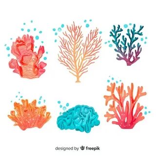 Коралловый рисунок