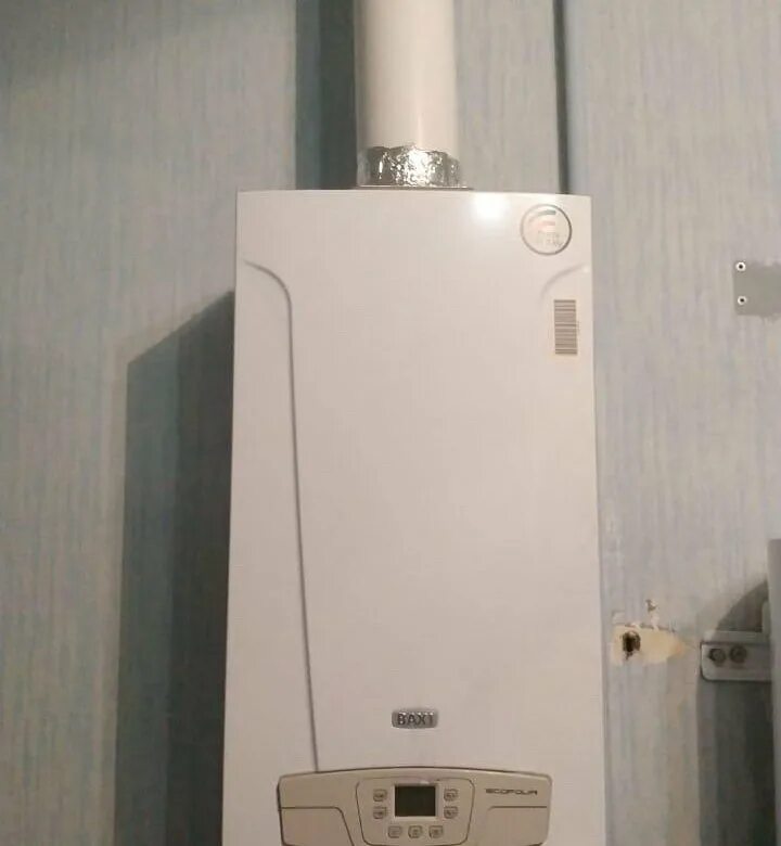 Baxi eco 24 цена