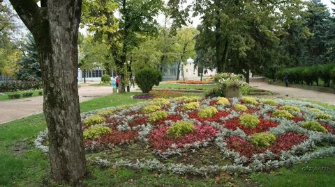 Парка 6 букв
