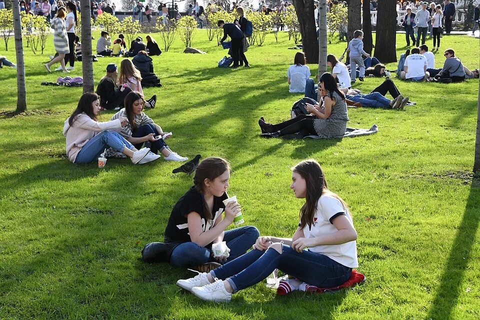 Lot of people in the park. Люди на газоне. Люди на лужайке в парке. Люди на газоне в парке. Пикник на газоне в парке.