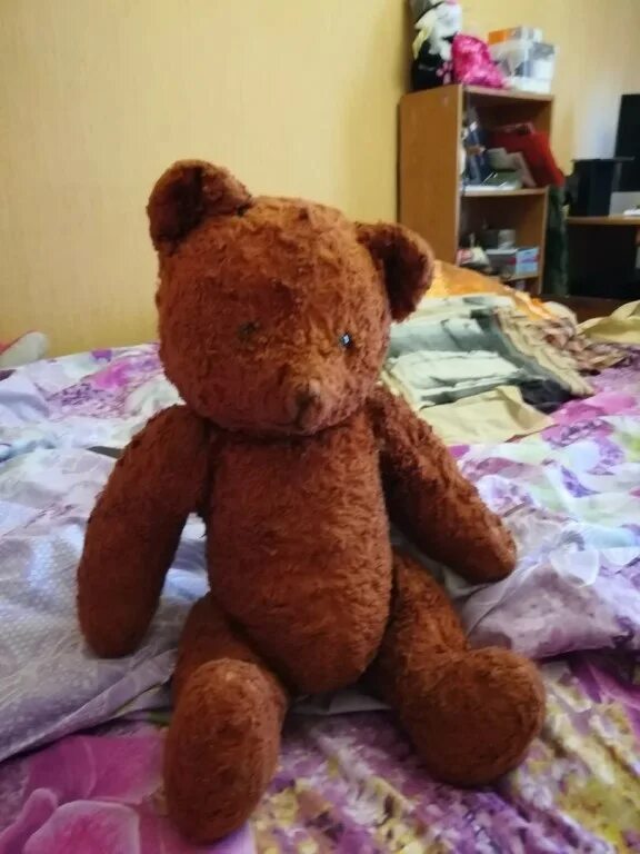 мишка сейчас