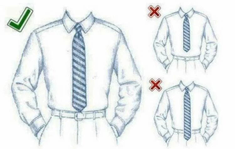 По этикету галстук должен быть. Длина галстука. Этикет длина галстука. Длина галстука по этикету. Какой должен быть галстук по длине.