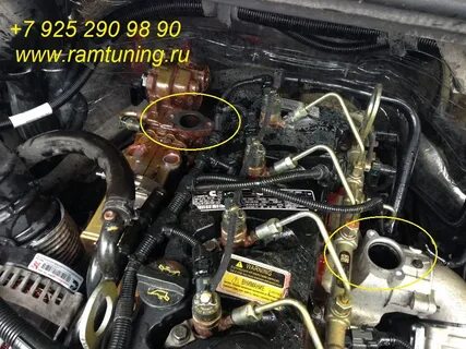 Егр некст