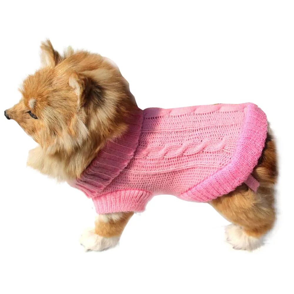 Одежда для собак адреса. Одежда для йоркширского терьера девочки. Одежда для собак. Одежда для собак маленьких пород. Одежда для маленьких собак.