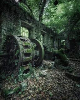 Заброшенный мир новые выпуски 2024